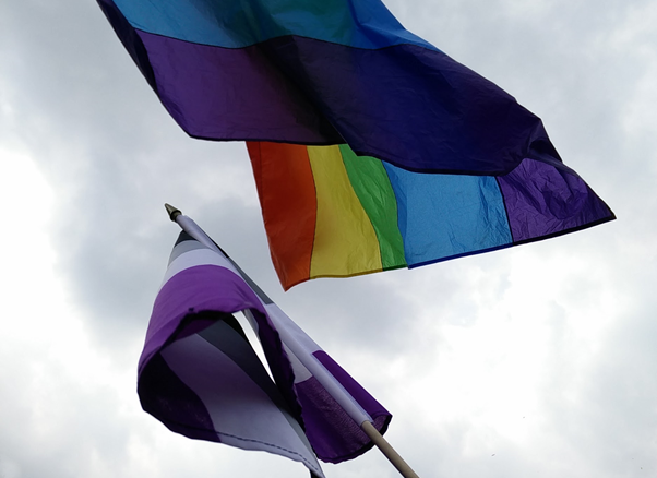 Een foto van een grauwe lucht met de aseksuele vlag die van onderen omhoog wordt gestoken. De vlag heeft horizontale strepen in zwart, grijs, wit en paars. Van boven waait een gerimpelde regenboogvlag.