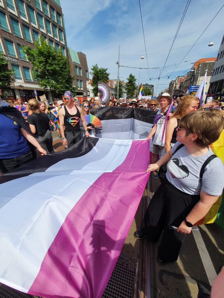 Een groep mensen houdt de aseksuele vlag horizontaal vast. Vooraan staat iemand met een grijs shirt met daarop een hartje in de kleuren van de aseksuele vlag. Achter de horizontale vlag houden mensen een aseksuele vlag verticaal vlag. Erachter en eromheen lopen nog meer mensen die meelopen met de pride walk.